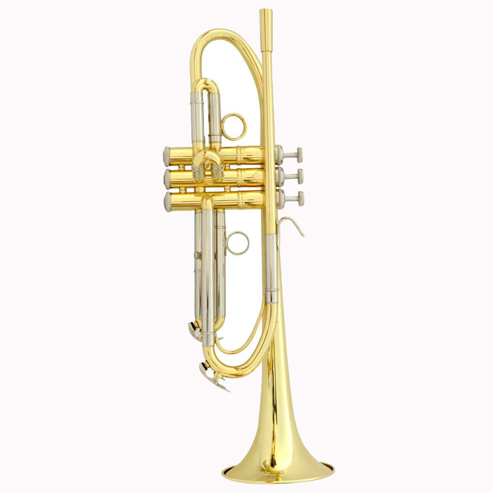 Musical Instrument Logo - Труба с индивидуальным дизайном, логотип OEM,