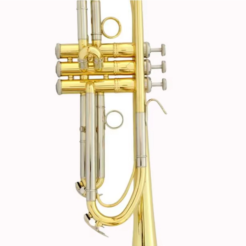 Труба с индивидуальным дизайно – обзор и цена Musical Instrument Logo